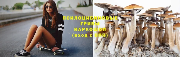гидропоника Алексин