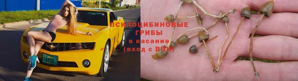 гидропоника Алексин