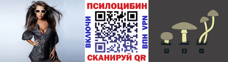 Псилоцибиновые грибы Cubensis  как найти наркотики  Томмот 